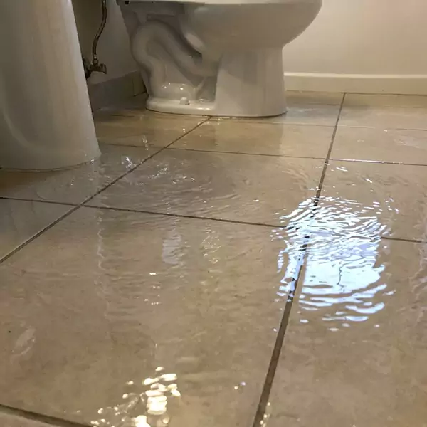 Expert Flooded Bathroom Restoration in Meridian, ID 