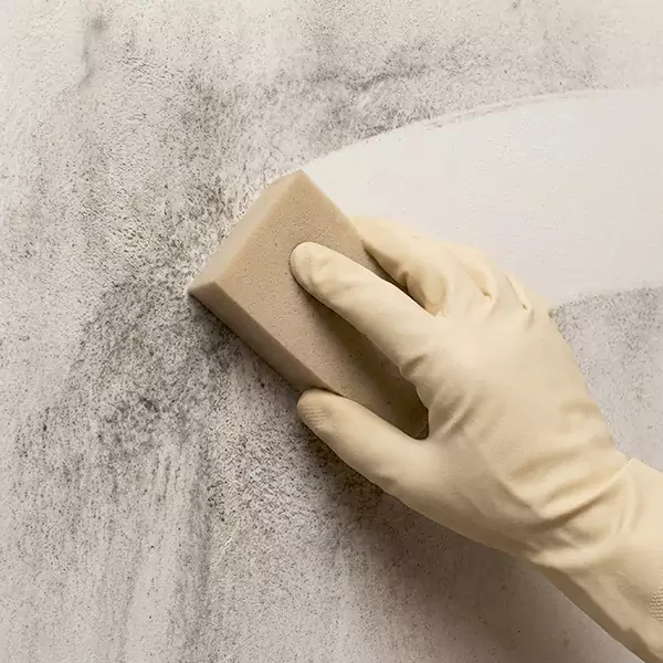 Smoke Cleaning in Meridian, ID 