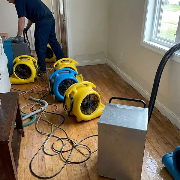 Water Mitigation Services in Meridian, ID