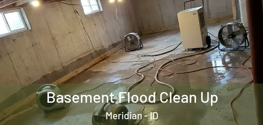 Basement Flood Clean Up Meridian - ID