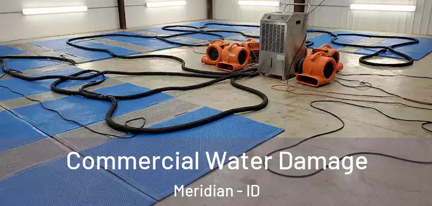  Commercial Water Damage Meridian - ID