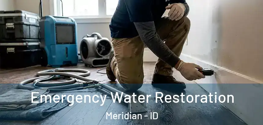  Emergency Water Restoration Meridian - ID