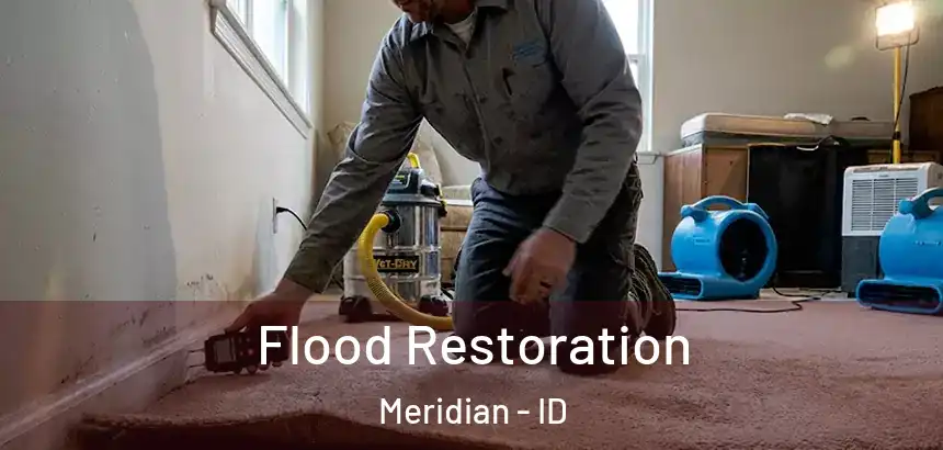 Flood Restoration Meridian - ID