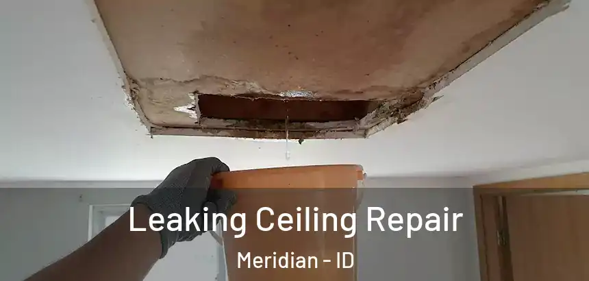  Leaking Ceiling Repair Meridian - ID