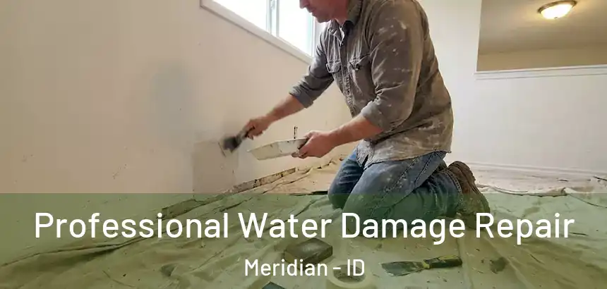  Professional Water Damage Repair Meridian - ID