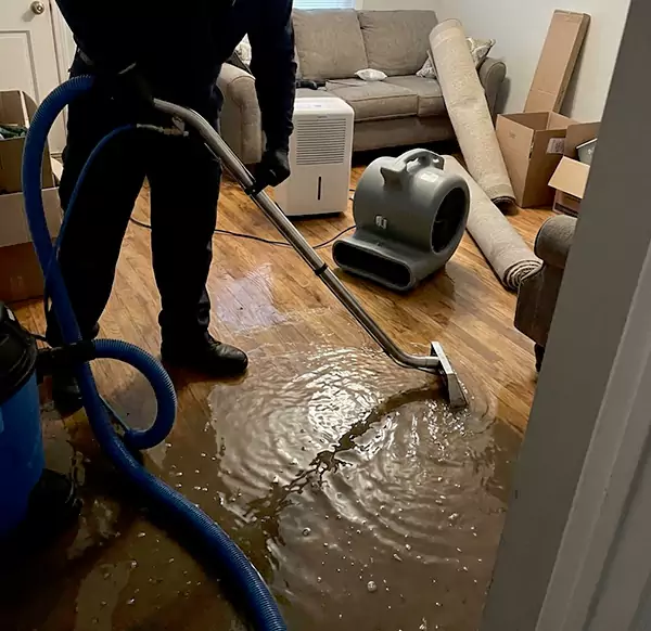 Why Homeowners & Businesses Choose Meridian Water Damage Pro for Flood Cleanup in Meridian, ID?