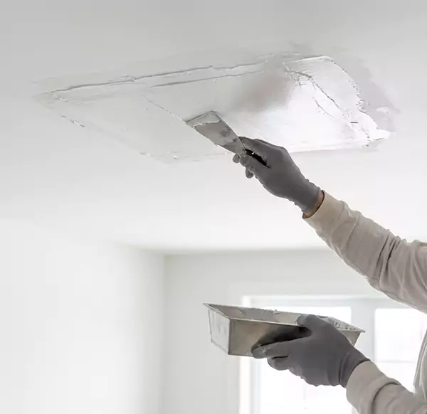 Why Homeowners and Businesses Choose Meridian Water Damage Pro for Leaking Ceiling Repair in Meridian, ID?