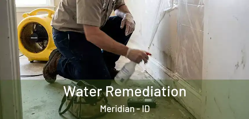  Water Remediation Meridian - ID